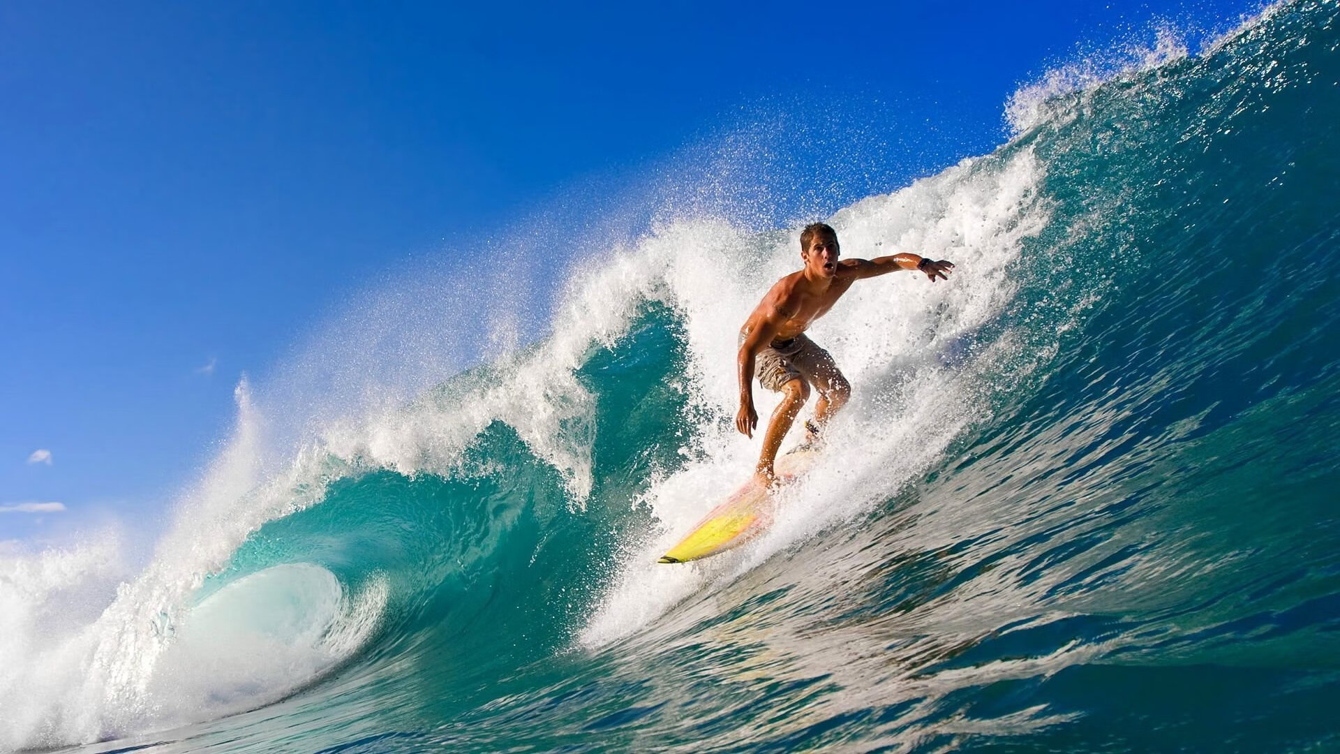 自由式滑雪赛事成绩稳步提升,自由式滑雪竞赛规则