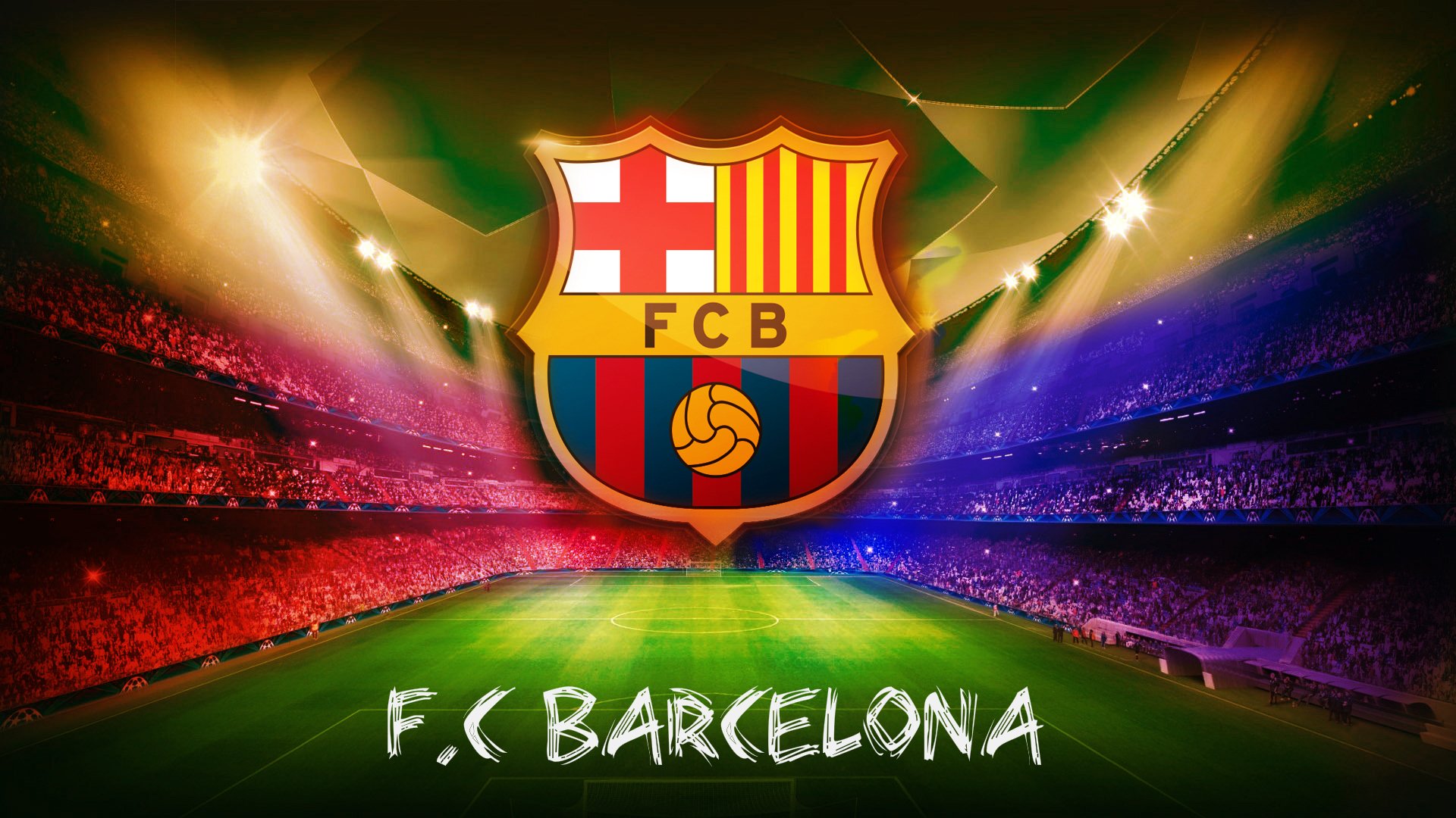 体育赛事志愿者服务规范,体育赛事志愿者的工作要求